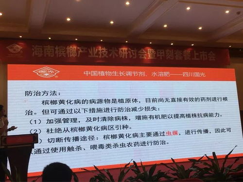 創(chuàng)新共贏 2018檳榔產(chǎn)業(yè)技術(shù)研討交流會(huì)——技術(shù)推廣服務(wù)賦能產(chǎn)業(yè)升級(jí)